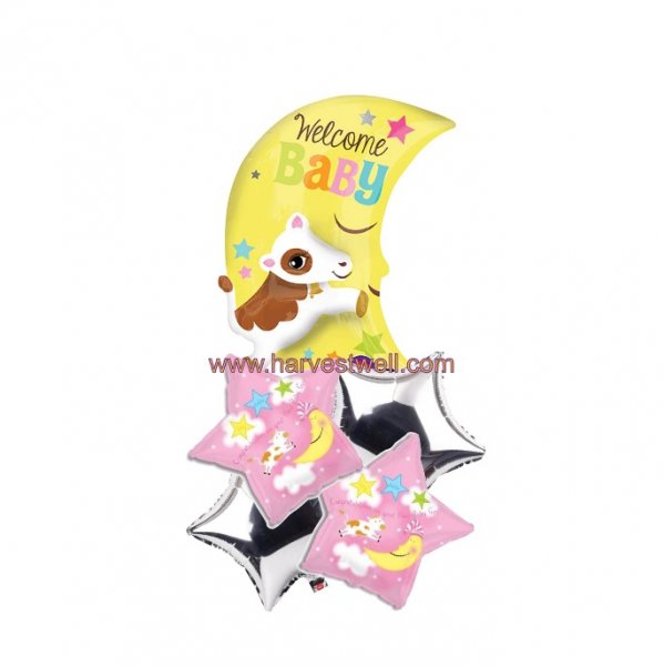 Congratulations on your new baby girl Balloon Bouquet